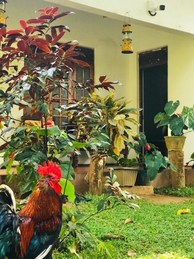 Sigiri Lakshan Home Stay Sigirija Zewnętrze zdjęcie